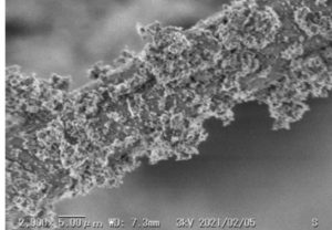 花粉 ウィルス キャッチ 飛散 コロナ対策