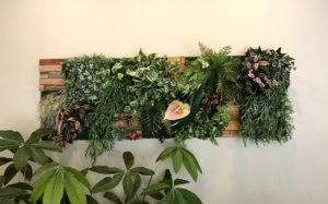 アートパネル　グリーン　光触媒　フェイク　アート　ディスプレイ　店舗