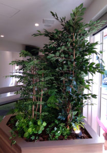 アートパネル　グリーン　光触媒　フェイク　アート　ディスプレイ　店舗