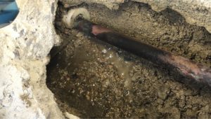 改装　事業継承　歯科医院　デザイン　クリニック　デンタル　開業